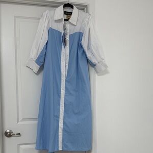 Blue and White Button-Up Dress